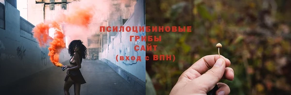 трава Кинешма