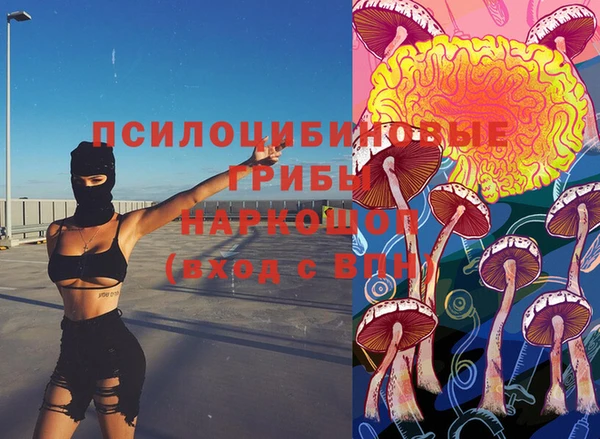 молекула духа Киренск