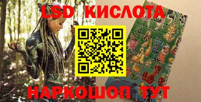 амф Кимры