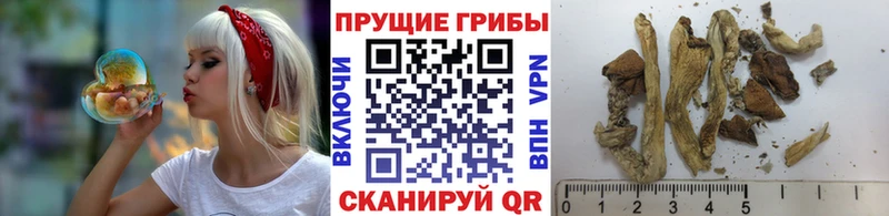 купить закладку  hydra онион  Псилоцибиновые грибы Magic Shrooms  Красноуфимск 