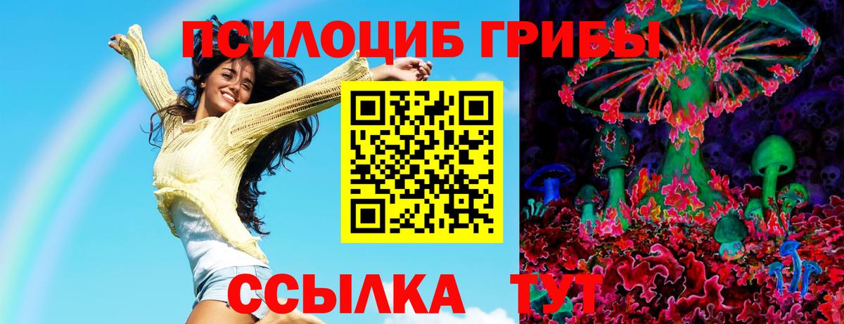 Псилоцибиновые грибы GOLDEN TEACHER Красноуфимск