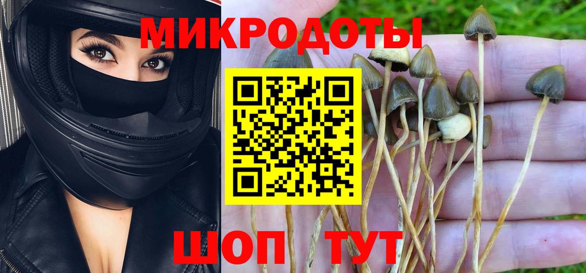 Красноуфимск  Псилоцибиновые грибы Magic Shrooms  Вход с VPN 